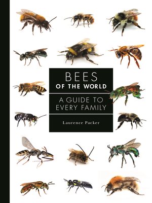 cover image of Bees of the World